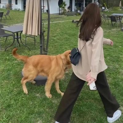 致命交叉点